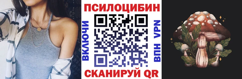 Псилоцибиновые грибы мицелий Кыштым