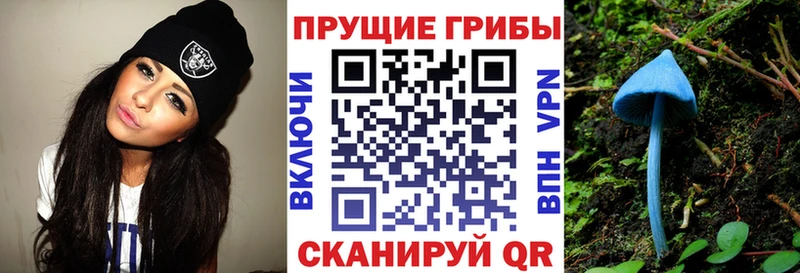 Купить где  Кыштым  Галлюциногенные грибы MAGIC MUSHROOMS 